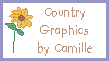 country graphics by camille