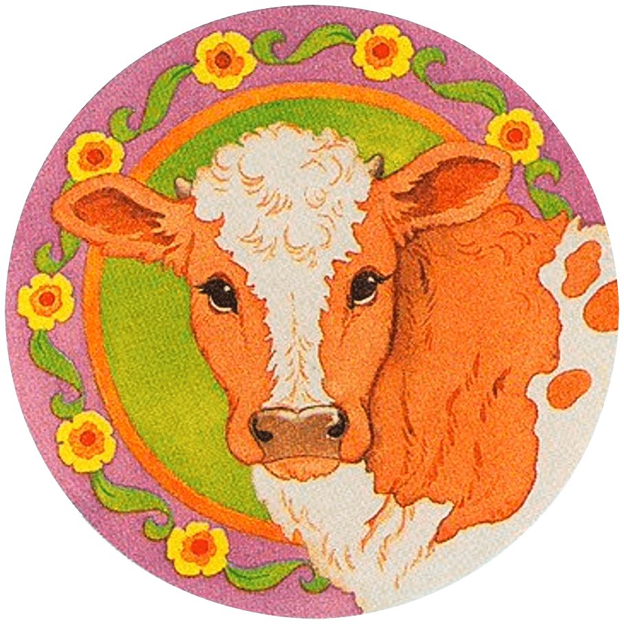 cow in front of wreath with yellow/orange flowers