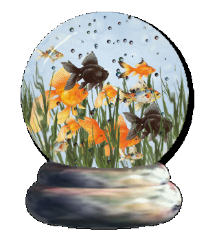 globe with school of goldfish swimming through grass with bubbles