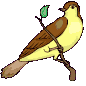 brown bird on branch