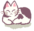 meow sleep ball cat