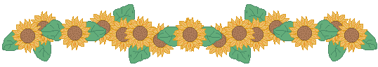 divider sunflower heads