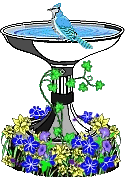 fountain with bluejay