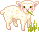 lamb eating