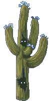 blooming saguaro with critter eyes