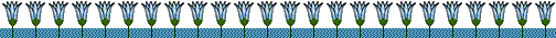 blue lotus divider
