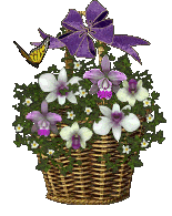 butterfly purple and white flower basket