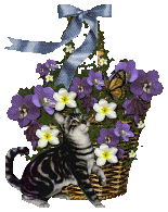 cat butterfly purple flower basket
