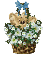 koalas white flowers basket