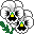 white pansies
